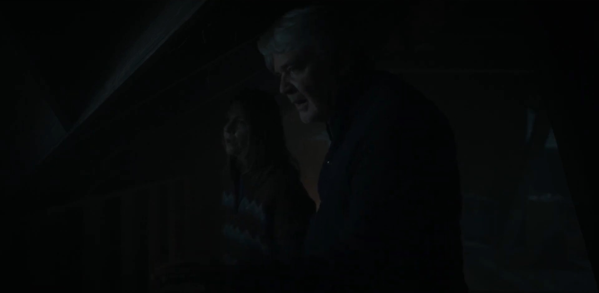 people hiding in attic from aliens